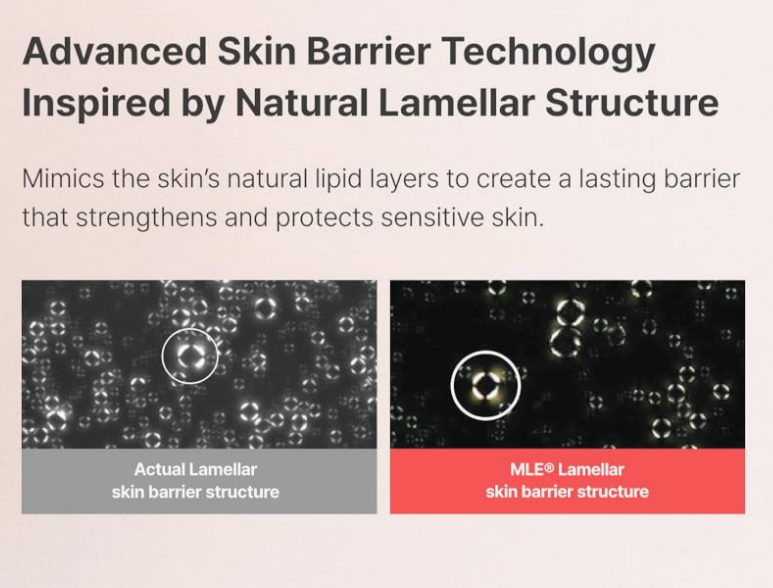 ATOPALM Website Company Values